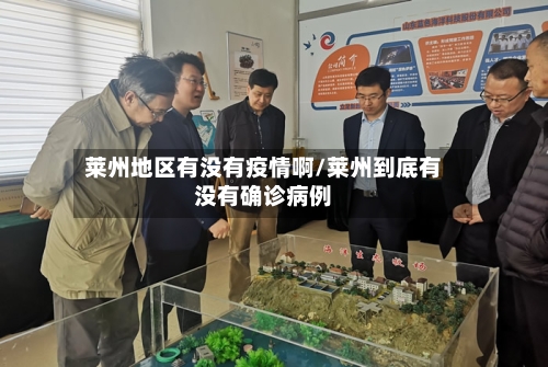 莱州地区有没有疫情啊/莱州到底有没有确诊病例