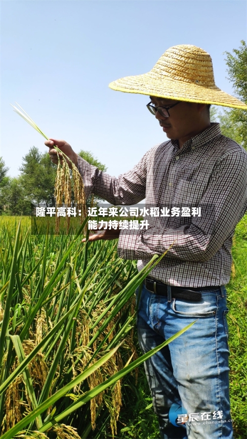 隆平高科：近年来公司水稻业务盈利能力持续提升