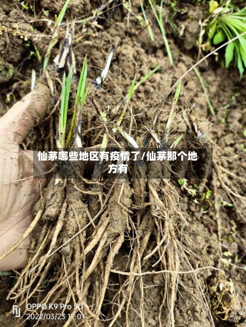 仙茅哪些地区有疫情了/仙茅那个地方有
