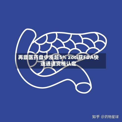 再鼎医药盘中涨超5% zoci获FDA快速通道资格认定