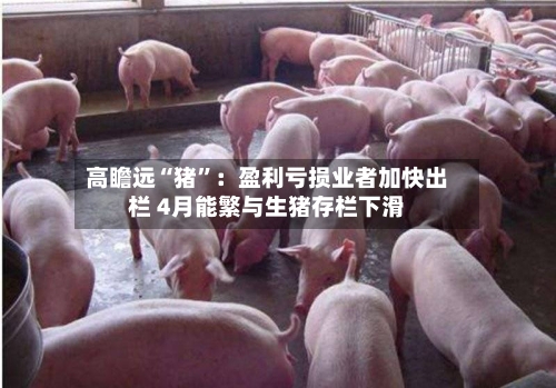 高瞻远“猪”:盈利亏损业者加快出栏 4月能繁与生猪存栏下滑