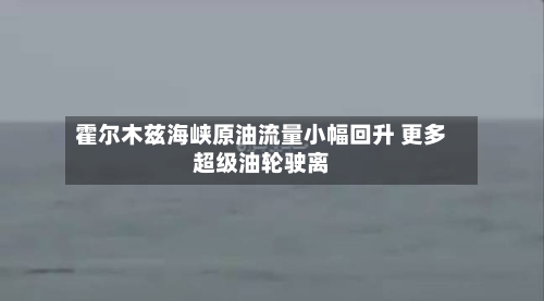 霍尔木兹海峡原油流量小幅回升 更多超级油轮驶离