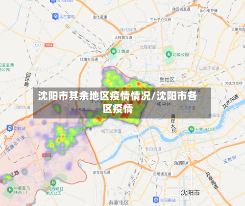 沈阳市其余地区疫情情况/沈阳市各区疫情