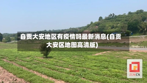 自贡大安地区有疫情吗最新消息(自贡大安区地图高清版)
