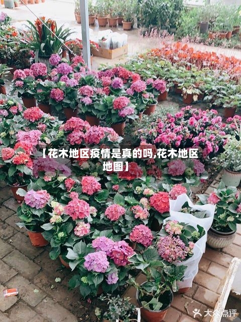 【花木地区疫情是真的吗,花木地区地图】