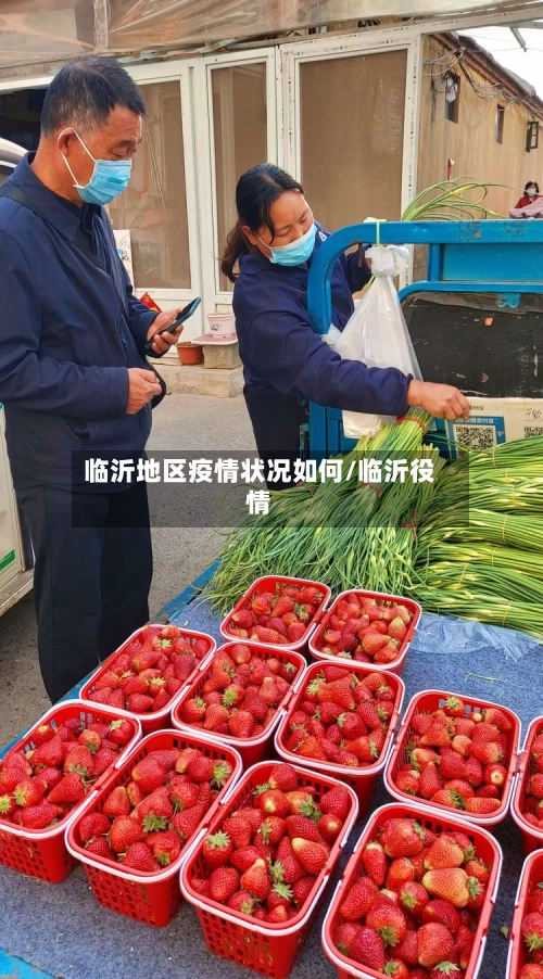 临沂地区疫情状况如何/临沂役情
