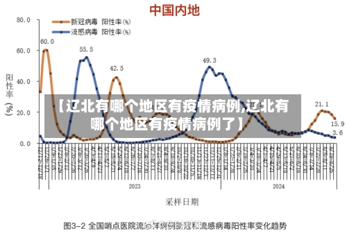 【辽北有哪个地区有疫情病例,辽北有哪个地区有疫情病例了】