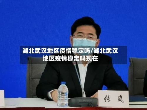 湖北武汉地区疫情稳定吗/湖北武汉地区疫情稳定吗现在
