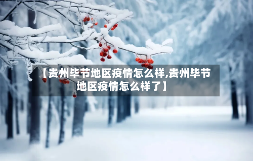 【贵州毕节地区疫情怎么样,贵州毕节地区疫情怎么样了】
