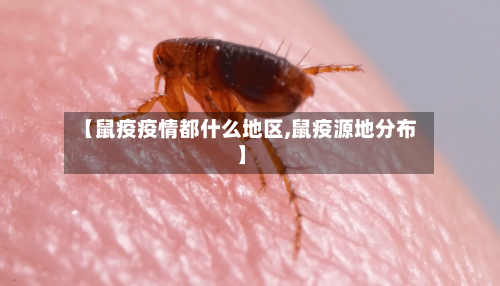 【鼠疫疫情都什么地区,鼠疫源地分布】