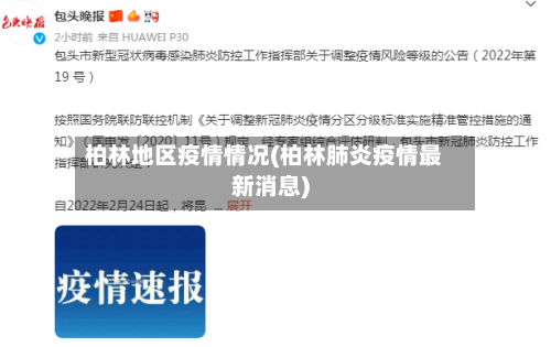 柏林地区疫情情况(柏林肺炎疫情最新消息)
