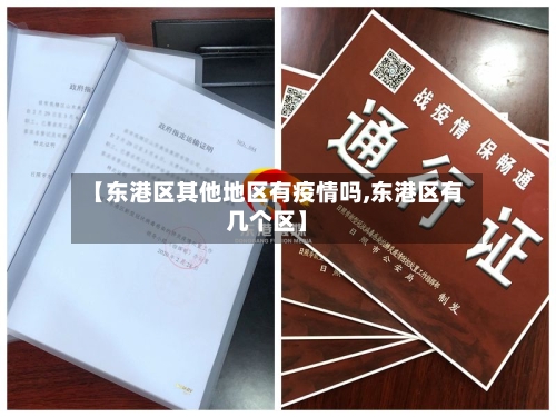 【东港区其他地区有疫情吗,东港区有几个区】