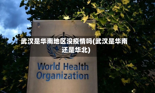 武汉是华南地区没疫情吗(武汉是华南还是华北)