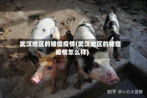 武汉地区的猪瘟疫情(武汉地区的猪瘟疫情怎么样)