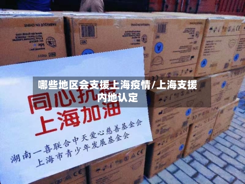 哪些地区会支援上海疫情/上海支援内地认定