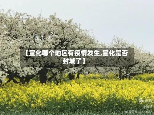 【宣化哪个地区有疫情发生,宣化是否封城了】