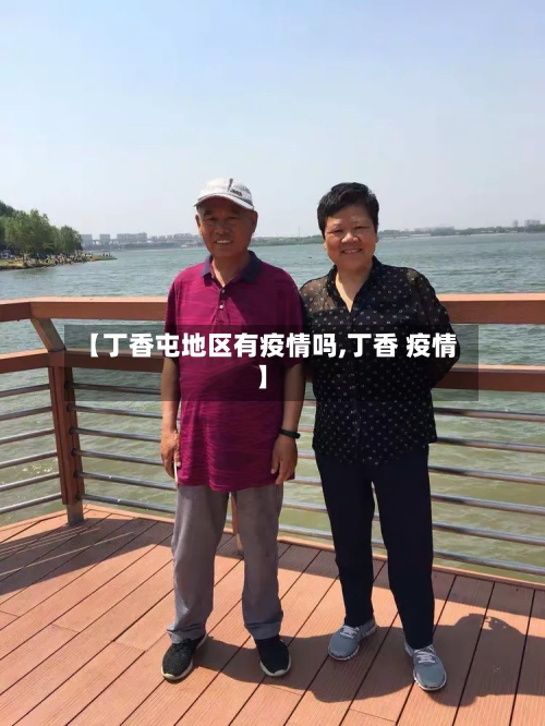 【丁香屯地区有疫情吗,丁香 疫情】