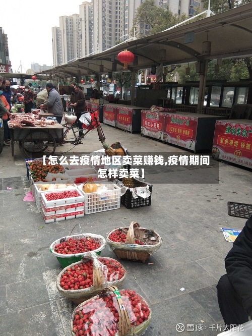 【怎么去疫情地区卖菜赚钱,疫情期间怎样卖菜】
