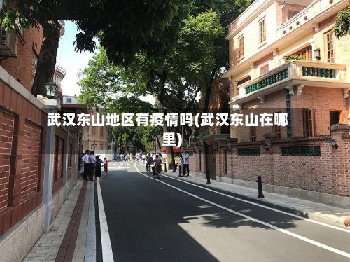 武汉东山地区有疫情吗(武汉东山在哪里)